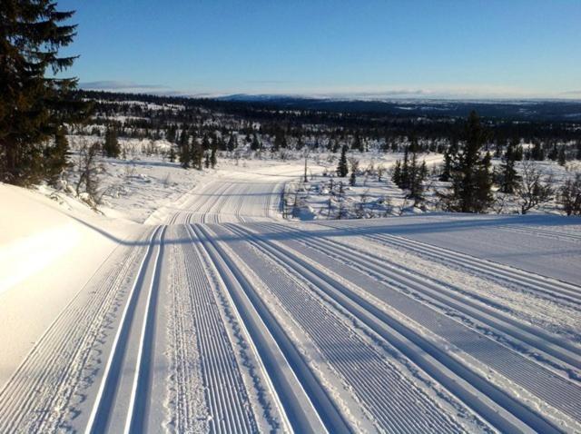 Centrally Located Cottage At Sjusjoen Ski Center Exterior foto